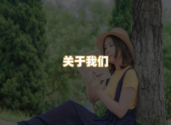 关于我们